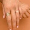 Capricorn Stargazer Zodiac Ring