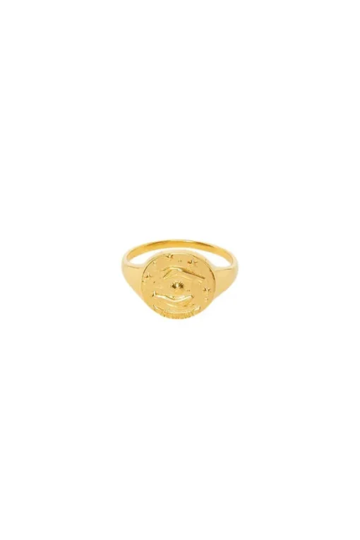 Gemini Stargazer Zodiac Ring