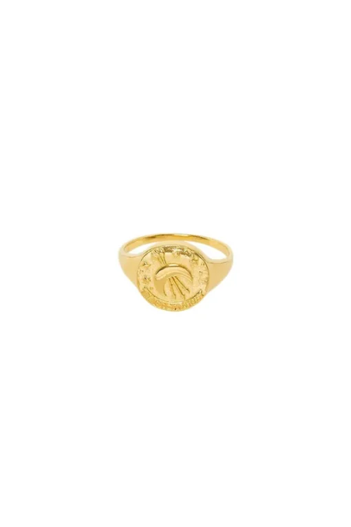 Sagittarius Stargazer Zodiac Ring