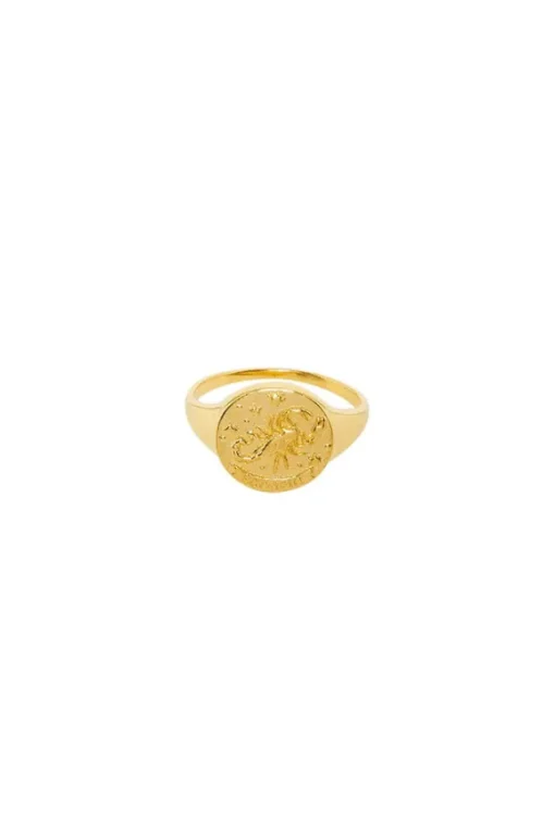 Scorpio Stargazer Zodiac Ring